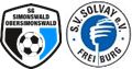 Logo SGSO Solvay